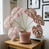 Pink Variegated Monstera Crochet Plant Free Pattern